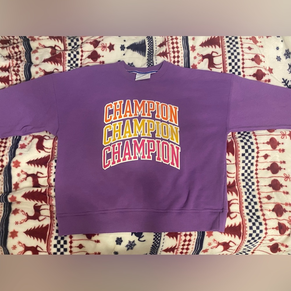 Champion Hoodie (Authentic Athleticwear)